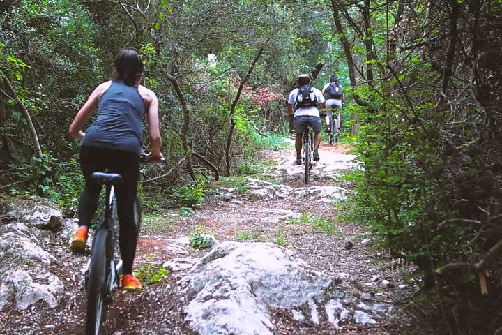 Urban Jungle Trail Cycling Tour from Mount Lavinia - Photo 1 of 7